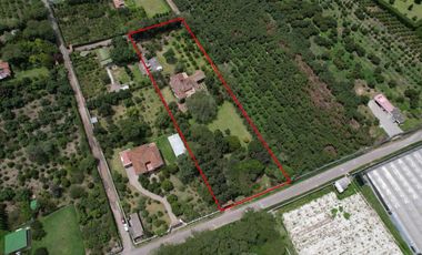 Quinta en venta en Guayllabamba