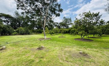 Quinta en venta en Guayllabamba