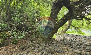 Paño Inmobiliario Urbano Orilla Rio Tolten