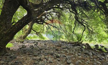 Paño Inmobiliario Urbano Orilla Rio Tolten