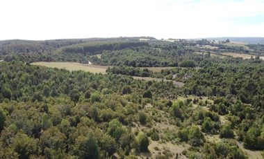 Paz y tranquilidad en Los Muermos