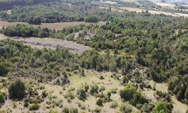 Paz y tranquilidad en Los Muermos