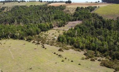 Paz y tranquilidad en Los Muermos