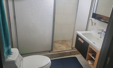 Venta Parcela con Casa y dos Cabañas Gran Terreno