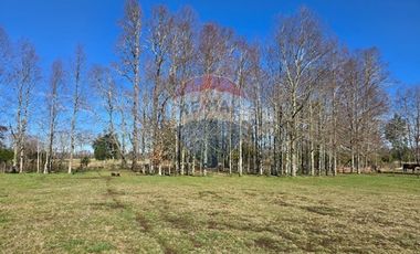 Venta Parcela con Casa y dos Cabañas Gran Terreno