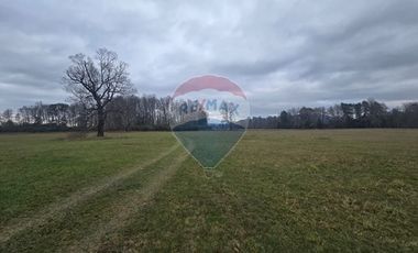 Parcelas en venta ideal para inversión,Villarrica.