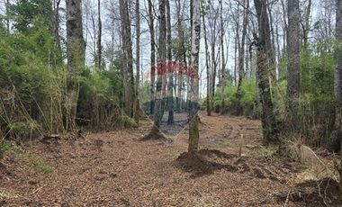 Parcelas en venta ideal para inversión,Villarrica.