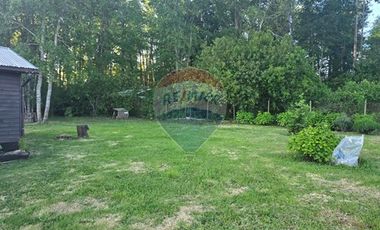 Hermosa Casa en Parcela con Bosque nativo