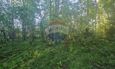 Hermosa Casa en Parcela con Bosque nativo