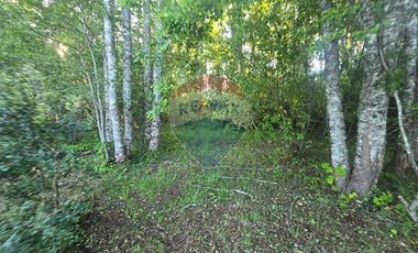 Hermosa Casa en Parcela con Bosque nativo