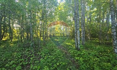 Hermosa Casa en Parcela con Bosque nativo