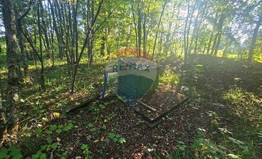 Hermosa Casa en Parcela con Bosque nativo
