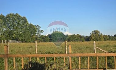 Hermosa Casa en Parcela con Bosque nativo