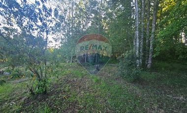 Hermosa Casa en Parcela con Bosque nativo