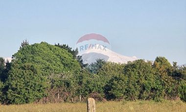 Hermosa Casa en Parcela con Bosque nativo