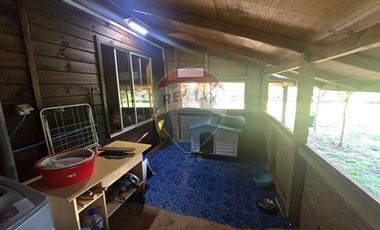 Hermosa Casa en Parcela con Bosque nativo