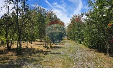 Hermosa Parcela con Acceso directo a Laguna