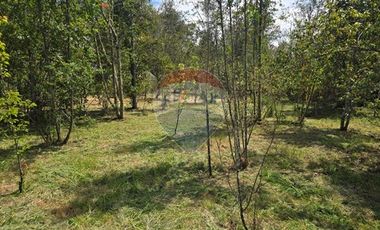 Hermosa Parcela con Acceso directo a Laguna