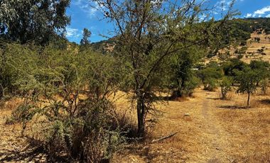 Terreno 5500m² en Colchagua, Oportunidad Única!