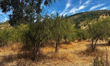 Terreno 5500m² en Colchagua, Oportunidad Única!