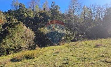 Paz y Privacidad en tu Parcela Soñada.