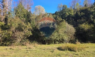 Paz y Privacidad en tu Parcela Soñada.