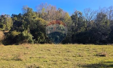 Paz y Privacidad en tu Parcela Soñada.