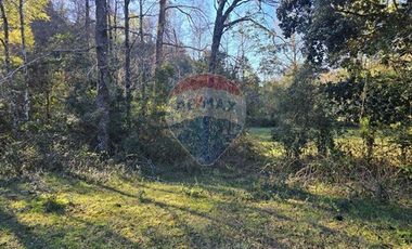 Paz y Privacidad en tu Parcela Soñada.