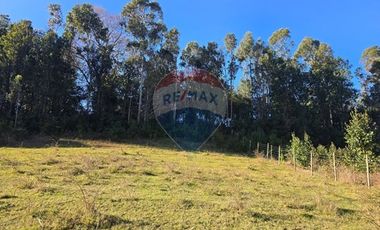 Paz y Privacidad en tu Parcela Soñada.