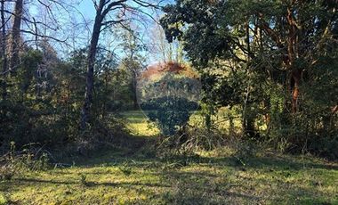 Paz y Privacidad en tu Parcela Soñada.