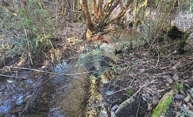 Paz y Privacidad en tu Parcela Soñada.