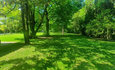 Quinta - Juan Maria Gutierrez Barrio San Juan