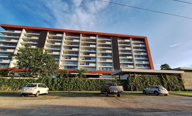 Departamento en renta Amueblado y equipado, Montejo Plaza