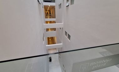 Departamento en renta Amueblado y equipado, Montejo Plaza