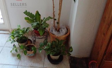 Venta- Dúplex 4 dormitorios - B ° Muten- Neuquén