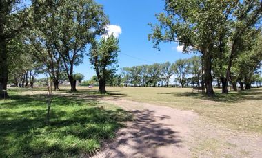 VENTA - Terreno - Quincho y parrilla - General Lagos, Rosario