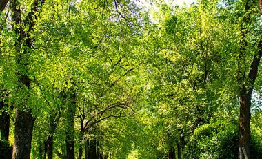 Lote en venta con vista a la laguna - El Principado Canning