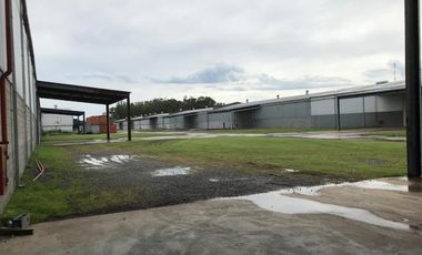 Depósito en Alquiler en Zárate