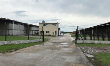 Depósito en Alquiler en Zárate