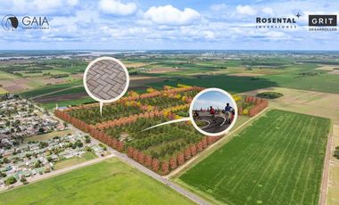 Terreno en General Lagos