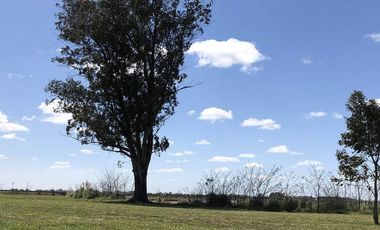 Terreno Lote a la laguna en Venta - Barrio Cerrado Santa Clara al Sur Canning Ezeiza