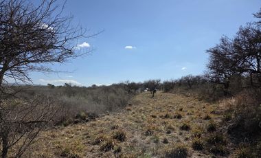 VENTA LOTES | ANISACATE | 1000 M2 | LUZ Y ESCRITURA