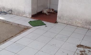 Departamento - Turdera