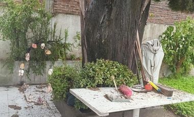 Departamento - Turdera