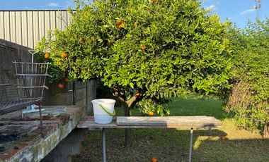 ¡Se vende encantadora casa en Roque Pérez, con todos los servicios!