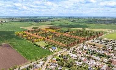 Terreno en General Lagos