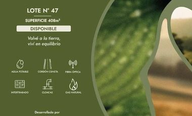 Terreno en General Lagos