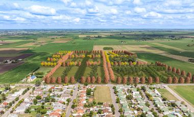 Terreno en General Lagos