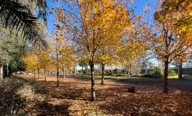 VENTA - Quinta con salón de eventos, hotel, casa de casero, pileta y canchas recreativas. Soldini.
