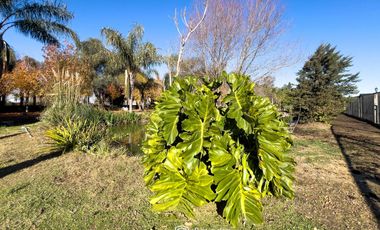 VENTA - Quinta con salón de eventos, hotel, casa de casero, pileta y canchas recreativas. Soldini.